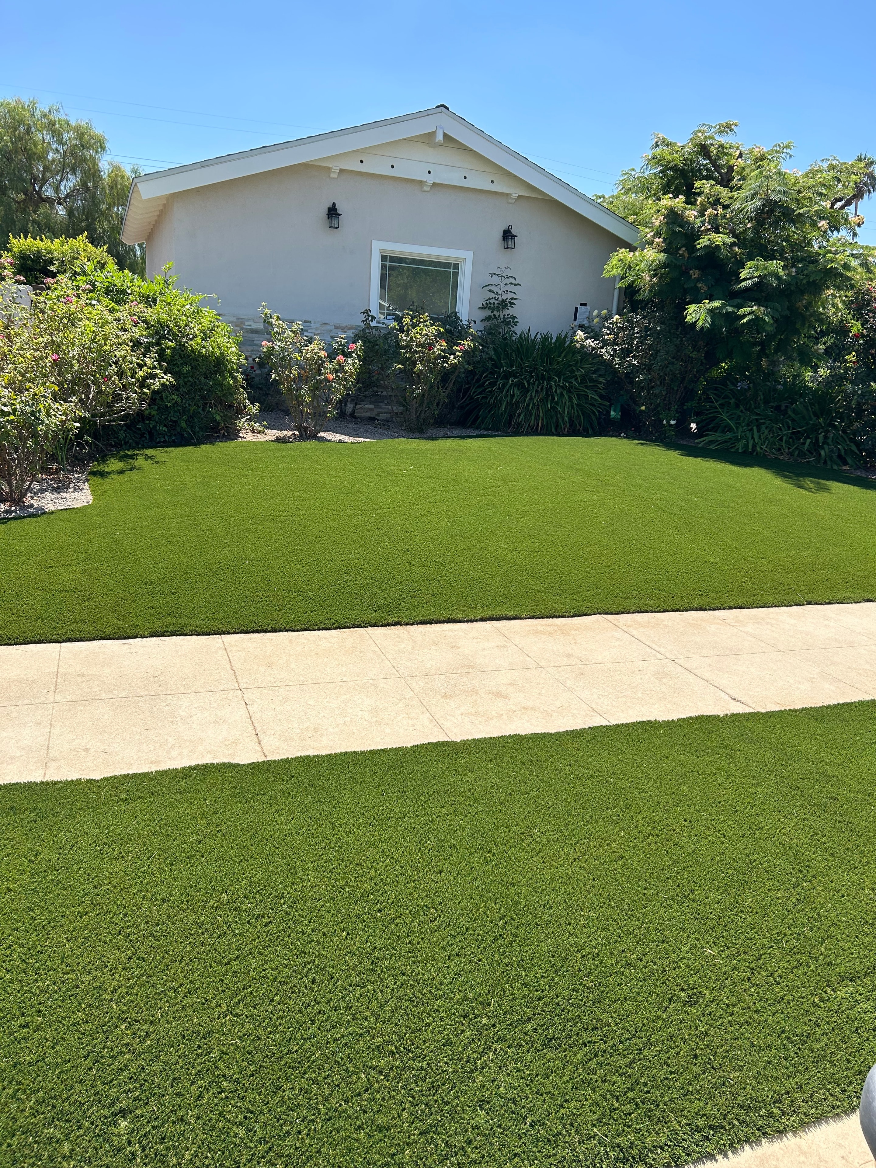 Pet Friendly Front Yard Curb Appeal